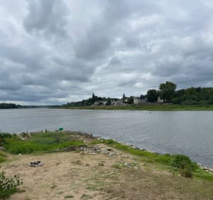 Balade sur les bords de Loire et de Maine - Sainte-Gemmes-sur-Loire - 4