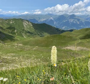 Le mont Jovet par la crête des Etroits au départ d’Aime 2000 - Aime-la-Plagne - 3