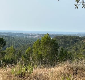 Puget, Col du Coucou et Petit Roc - Puget-sur-Argens - 3