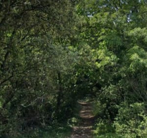 Balade entre plaines de St-Paul et sous-bois de Montsegur - Florent - 3