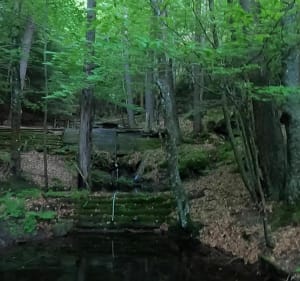 Le suc de Cherchemuse au départ du camping du lac - Le Lac-d'Issarlès - 3