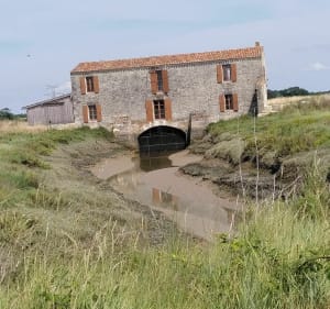 Sortie vélo Marennes/Nieulle sur Seudre/Saint Sornin - Marennes-Hiers-Brouage - 4