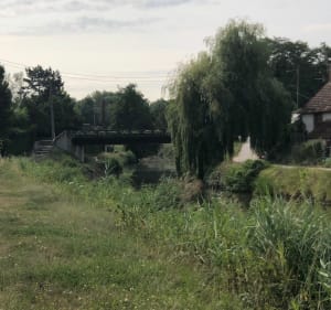 Orléans - Chécy : en bord de canal c’est superbe et facile - Daniel - 4