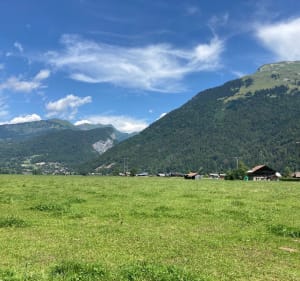Le Bois aux Dames le long du Griffe au Perret - Samoëns - 5