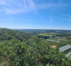 Du camping par Crayssac et le Lot à VTT - Crayssac - 3