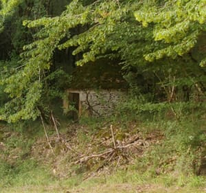 Balade autour d'Allas - Saint-André-d'Allas - 4