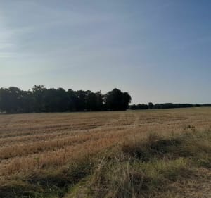 Trail 5 km Montbartier - Bessens - 3