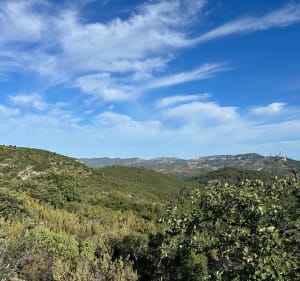 Trail en passant par le Mont du Marseillais - Peypin - 3