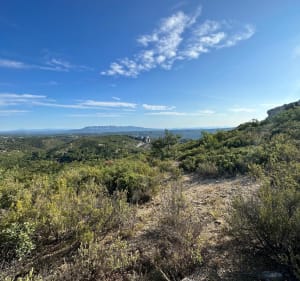 Trail en passant par le Mont du Marseillais - Peypin - 4