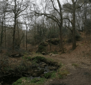 Ponts de La Roche Bernard et la Vallée du Loriot au départ d'Arzal - Arzal - 4