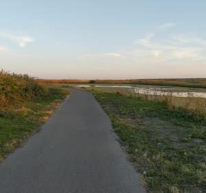 Réserve naturelle de Lilleau-des-Niges à vélo - Saint-Clément-des-Baleines - 3