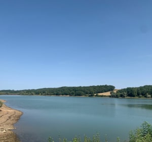 Belle balade entre Saint-Lys et Sainte-Foy - Saint-Lys - 5