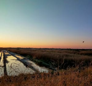 Réserve naturelle de Lilleau-des-Niges à vélo - Saint-Clément-des-Baleines - 4
