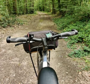 Balade dans les bois et dans les champs à La Guerche sur l'Aubois - La Guerche-sur-l'Aubois - 5
