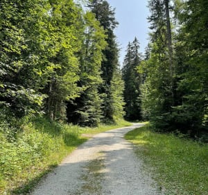 Balade sur les hauts plateaux du Vercors - LAURENT - 3