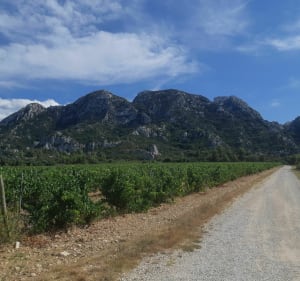Balade en vtt aux pieds des Alpilles - Mollégès - 3