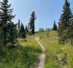Balade sur les hauts plateaux du Vercors - LAURENT - 2