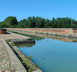 Balade sur le Canal du Midi aux abords des berges du Tarn - Castelsarrasin - 4