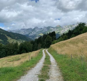Ronde du Grand-Bornand - Les Frasses - Les Dodes - Le Grand-Bornand - 4