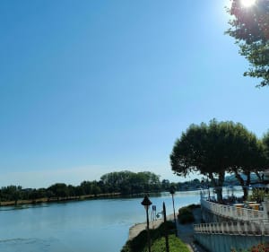 Balade sur le Canal du Midi aux abords des berges du Tarn - Castelsarrasin - 5