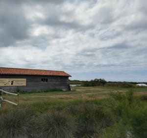 Balade à vélo entre deux plages de l'île d'Oléron - Saint-Denis-d'Oléron - 4