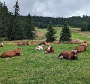 Mines de la Lapiaz, Lil'Stash et Ferme de Séraussaix - Morzine - 4