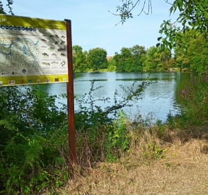 Balade en vélo entre la Charente et la Seugne - Aline - 3