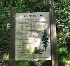 La baraque forestière du Manival - Saint-Ismier - 4