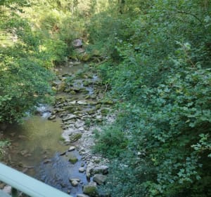 Balade sur le sentier du moulin de la Serpe - Sciez - 3