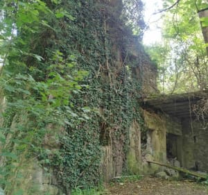 Balade sur le sentier du moulin de la Serpe - Sciez - 4