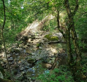 Balade sur le sentier du moulin de la Serpe - Sciez - 5