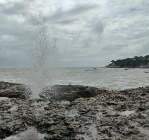Chemin des douaniers depuis Saint-Palais-sur-Mer - Saint-Palais-sur-Mer - 4