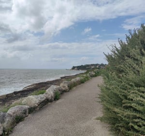 Chemin des douaniers depuis Saint-Palais-sur-Mer - Saint-Palais-sur-Mer - 5