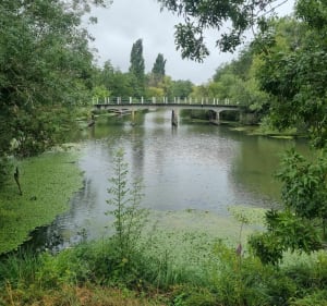 "La Ronde" dans le marais Poitevin - La Ronde - 4