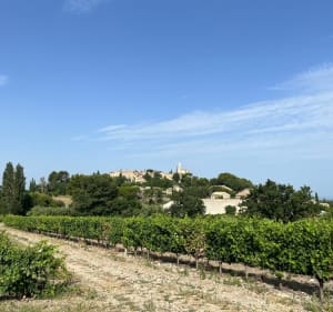 Belle balade entre Sainte Cécile les vignes et Rasteau - Sainte-Cécile-les-Vignes - 3