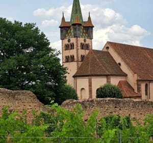 Le Hahnenberg par la Montagne des Singes - Châtenois - 3