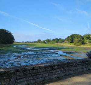 De l'Anse de Saint-Laurent à l'Anse de Penfoulic - La Forêt-Fouesnant - 4