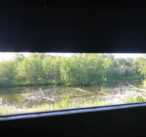 Parcs et marais le long de l’Essonne - Vincent - 5