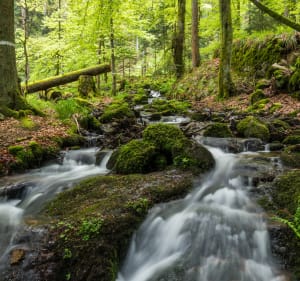 Cascade de la Serva et grotte du Déserteur - Belmont - 3