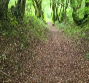Balade sur les Monts de Desvres et le Mont Hulin - Desvres - 5