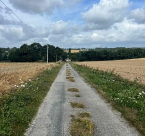 Le ruisseau de l’étang depuis Le Petit-Fougeray - Le Petit-Fougeray - 3