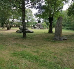 Boucle les Gardes par Saint-Georges-des-Gardes - Chemillé-en-Anjou - 4