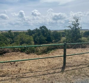 Les chemins de la presqu’île de Saint-Laurent par Fouras à vélo - Saint-Laurent-de-la-Prée - 3