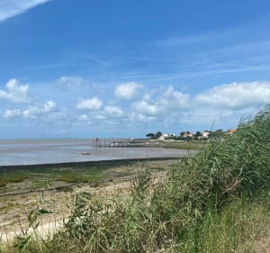 Les chemins de la presqu’île de Saint-Laurent par Fouras à vélo - Saint-Laurent-de-la-Prée - 4