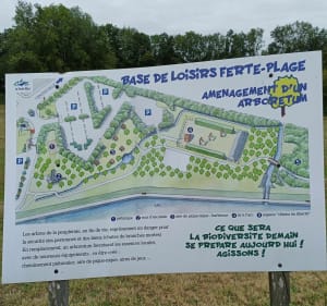 Mooie kleine wandeling naar het meer van Ferté-Macé - La Ferté-Macé - 5