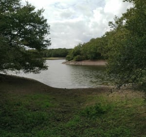 Balade sur les rives du lac de Graon - Saint-Vincent-sur-Graon - 5