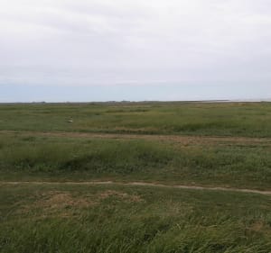 Des galets de Cayeux à Saint Valery toute vapeur & Noyelles - Cayeux-sur-Mer - 5