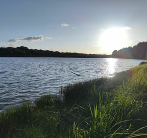 Étangs en forêt de Rambouillet par Locacycles - Rambouillet - 5
