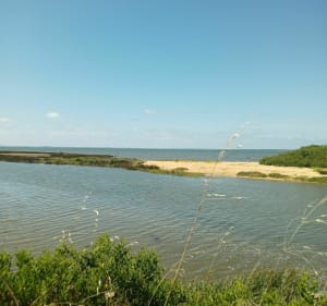 Balade entre nature et ville au Teich - Le Teich - 3