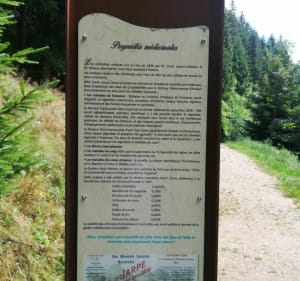 Balade vers la source de la Jarpe - Grandrif - 3